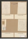 Amphora sulcata Breb. (de-Toni-Nr.: Genus 36, Species 1648) Zeichnungen Sammlung Grunow Nr. 3153 (NHMW-BOT-W0370588)